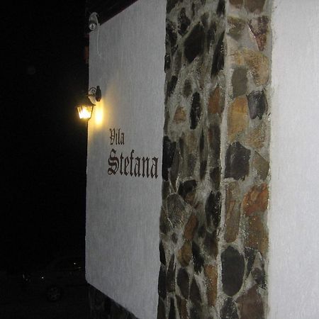 Vila Stefana Paltinis Ngoại thất bức ảnh