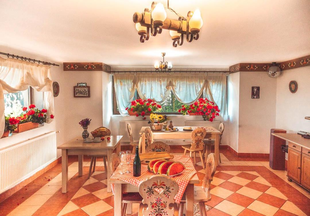 Vila Stefana Paltinis Ngoại thất bức ảnh