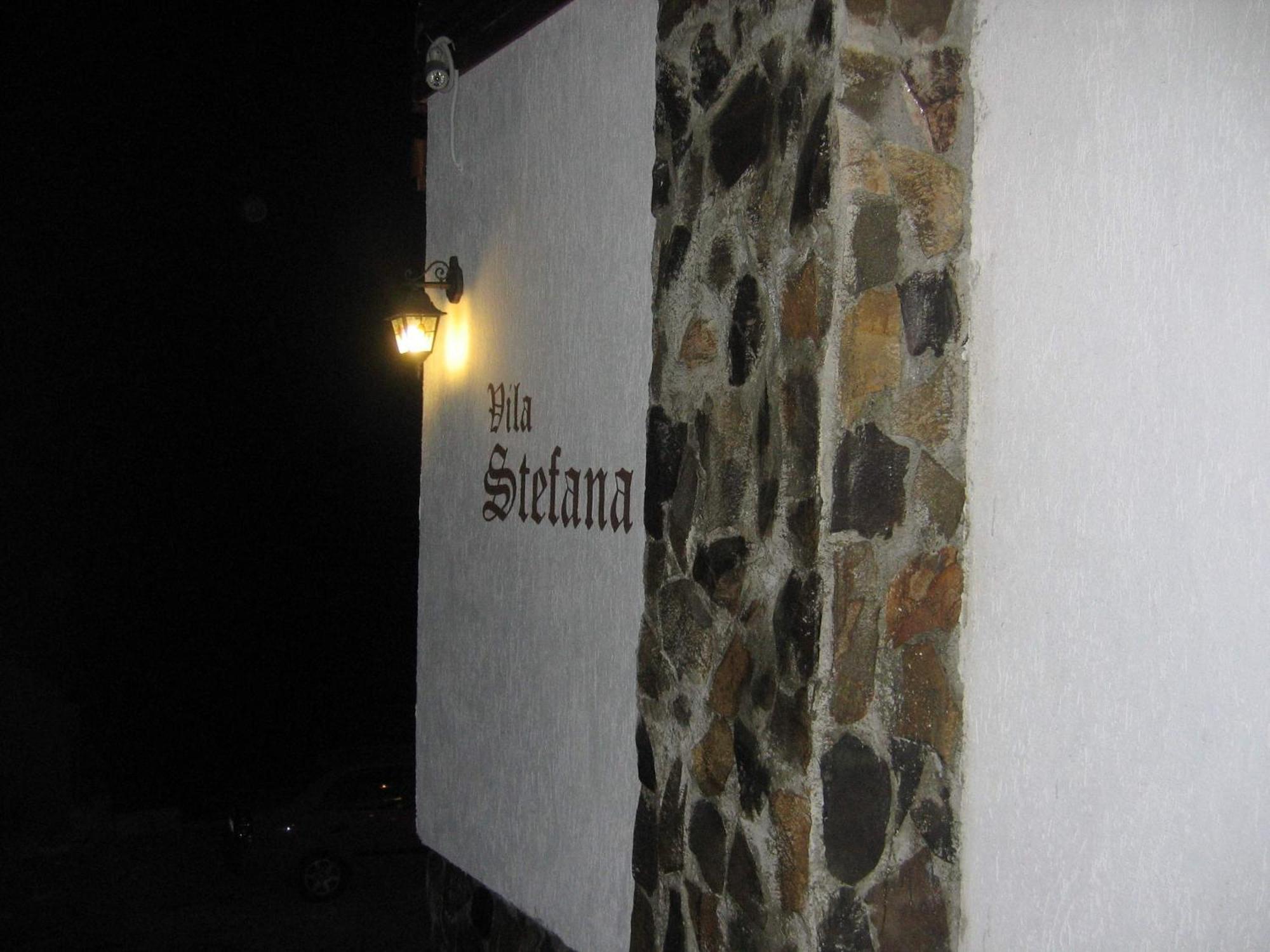Vila Stefana Paltinis Ngoại thất bức ảnh